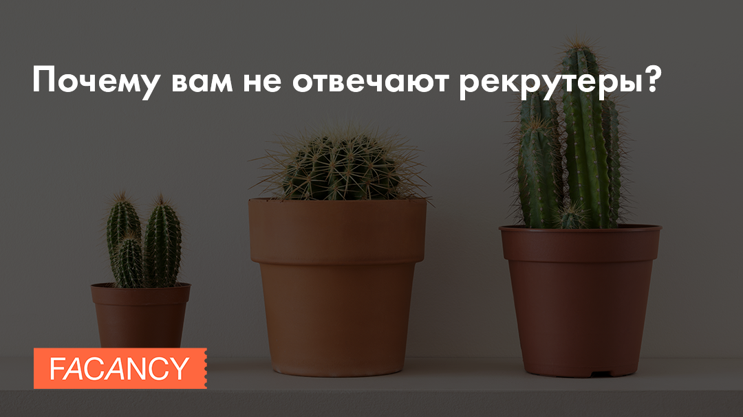 Почему вам не отвечают рекрутеры?