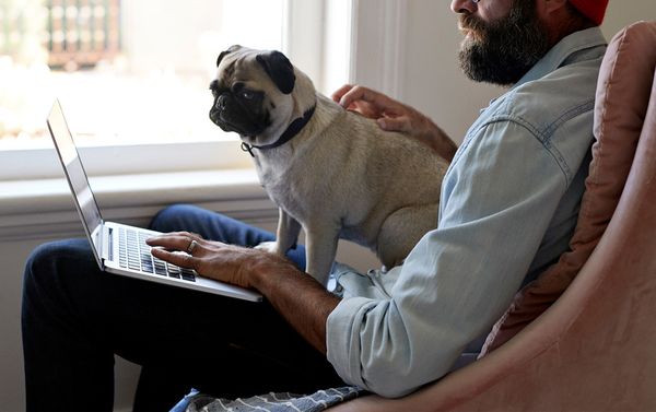 Офис во время чумы: как организовать работу отдела на удаленке и не разорить компанию